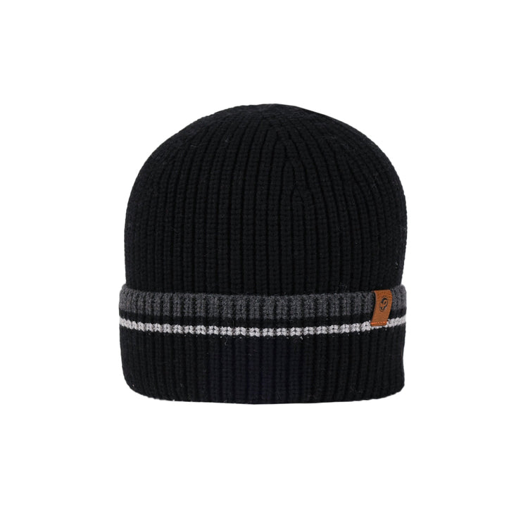 Pistil Chris Beanie in Black